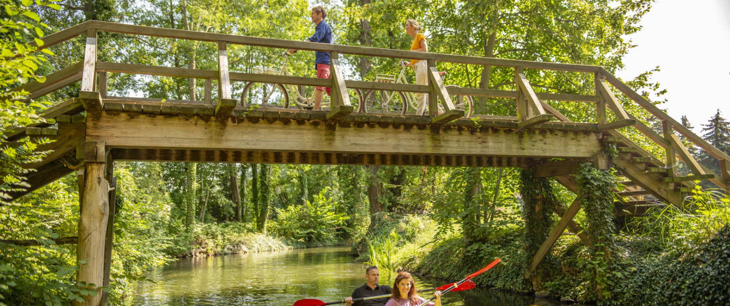 Imagebild Sommer_Radtouren_Foto-Ron Petraß (5)